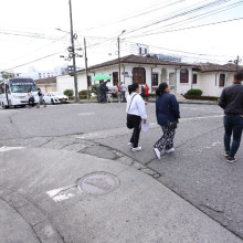 Las cebras se esfuman en el barrio  Versalles de Manizales